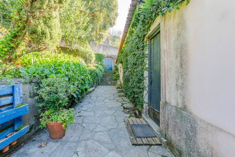 Farm i Sintra, Lisbon, Sintra - € 4.000.000 | Ref: DH912 - foto 23