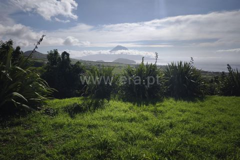 Villa a Horta, Faial, Horta - € 975.000 | Ref: 374250222 - foto 19