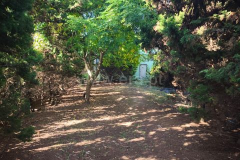 Villa a Horta, Faial, Horta - € 975.000 | Ref: 374250222 - foto 21
