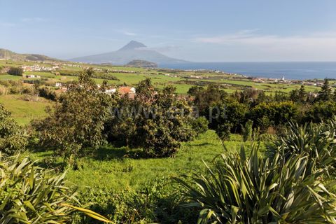 Villa a Horta, Faial, Horta - € 975.000 | Ref: 374250222 - foto 25