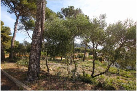 Helårsgrund i Canyamel, Mallorca, Canyamel - € 300.000 | Ref: G&P_001211 - foto 6