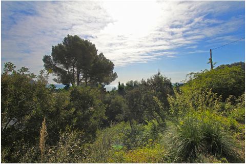 Terreno en Capdepera, Mallorca, Capdepera - € 275.000 | Ref: G&P_001212 - photo 6