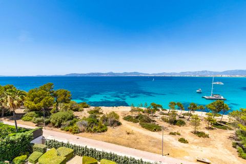 Villa a Son Veri, Mallorca, Son Veri - € 15.900.000 | Ref: FALC-Nep-62073 - foto 21