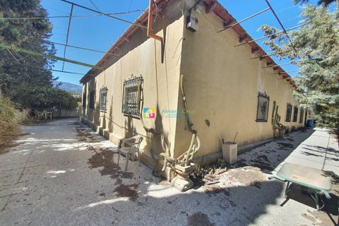 Villa a Purchena, Almeria, Purchena - € 190.000 | Ref: 2309 - foto 43