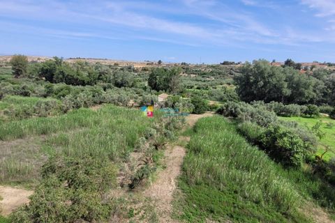 Landejendom i Cullar, Granada, Cullar - € 250.000 | Ref: 2369 - foto 33