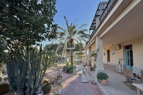 Villa i Elche, Alicante, Elche - € 850.000 | Ref: ALI65473 - foto 3