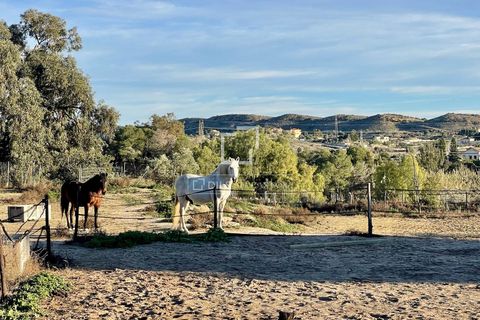 Villa i Elche, Alicante, Elche - € 850.000 | Ref: ALI65473 - foto 36