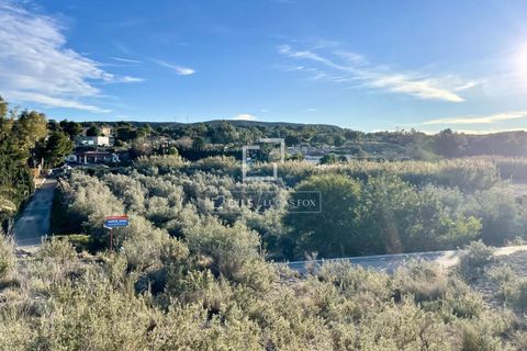 Villa i Elche, Alicante, Elche - € 850.000 | Ref: ALI65473 - foto 37
