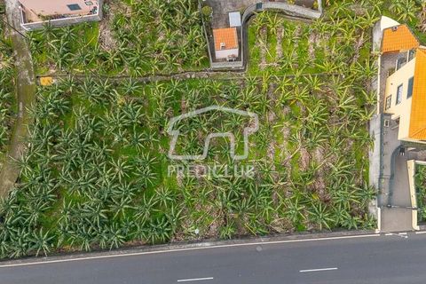 Terra a Ribeira Brava, Madeira, Ribeira Brava - € 365.000 | Ref: 11849-VG - foto 5