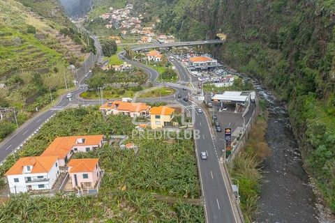 Terra a Ribeira Brava, Madeira, Ribeira Brava - € 365.000 | Ref: 11849-VG - foto 4
