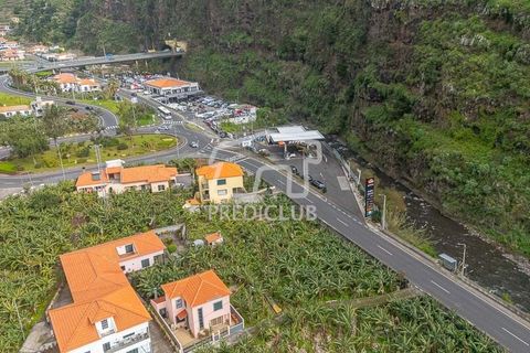 Terra a Ribeira Brava, Madeira, Ribeira Brava - € 365.000 | Ref: 11849-VG - foto 6