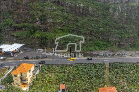 Terra a Ribeira Brava, Madeira, Ribeira Brava - € 365.000 | Ref: 11849-VG - foto 7