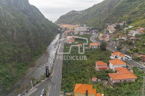 Terra a Ribeira Brava, Madeira, Ribeira Brava - € 365.000 | Ref: 11849-VG - foto 8
