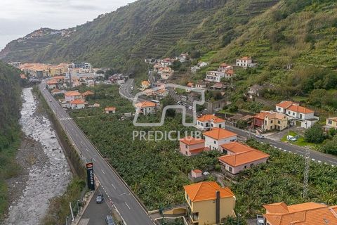 Terra a Ribeira Brava, Madeira, Ribeira Brava - € 365.000 | Ref: 11849-VG - foto 9