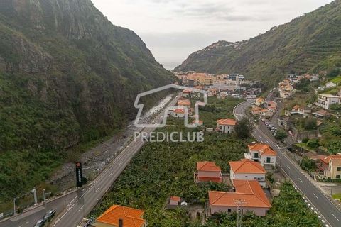 Terra a Ribeira Brava, Madeira, Ribeira Brava - € 365.000 | Ref: 11849-VG - foto 10