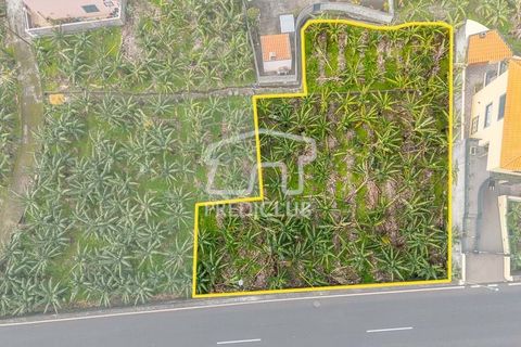 Terra a Ribeira Brava, Madeira, Ribeira Brava - € 365.000 | Ref: 11849-VG - foto 2