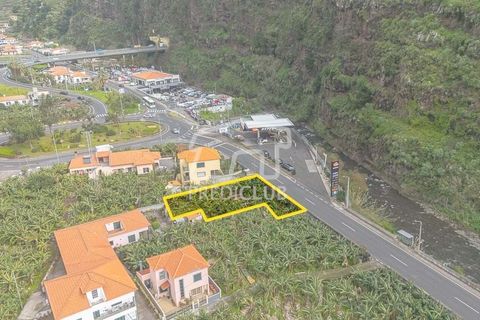 Terra a Ribeira Brava, Madeira, Ribeira Brava - € 365.000 | Ref: 11849-VG - foto 3
