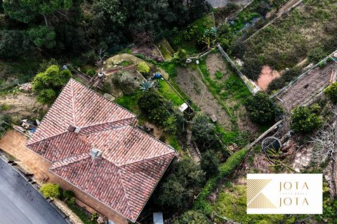 Villa i Lloret De Mar, Gerona, Lloret De Mar - € 450.000 | Ref: 70781 - foto 3