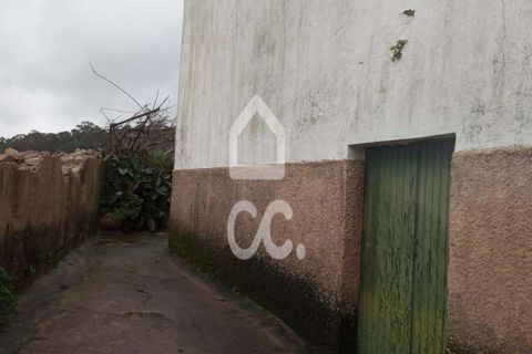 Villa i Viana do Castelo, Viana do Castelo, Viana do Castelo - € 320.000 | Ref: 401/M/00339 - foto 3