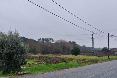 Helårsgrund i Viseu, Viseu, Viseu - € 170.000 | Ref: C0203-02570 - foto 2