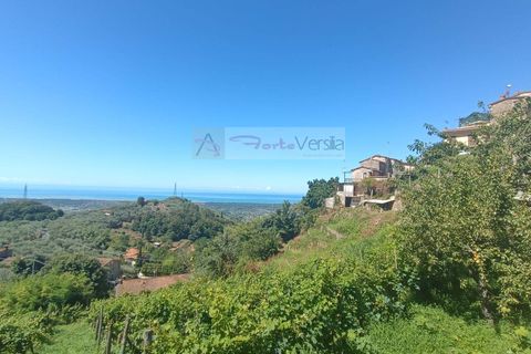Villa i Pietrasanta, Lucca, Pietrasanta - € 170.000 | Ref: 103 - foto 1