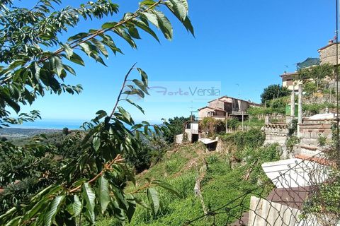 Villa i Pietrasanta, Lucca, Pietrasanta - € 170.000 | Ref: 103 - foto 2