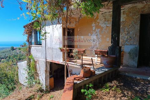 Villa i Pietrasanta, Lucca, Pietrasanta - € 170.000 | Ref: 103 - foto 4