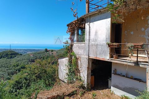 Villa i Pietrasanta, Lucca, Pietrasanta - € 170.000 | Ref: 103 - foto 5