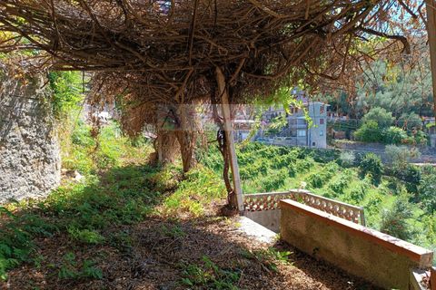 Villa i Pietrasanta, Lucca, Pietrasanta - € 170.000 | Ref: 103 - foto 6