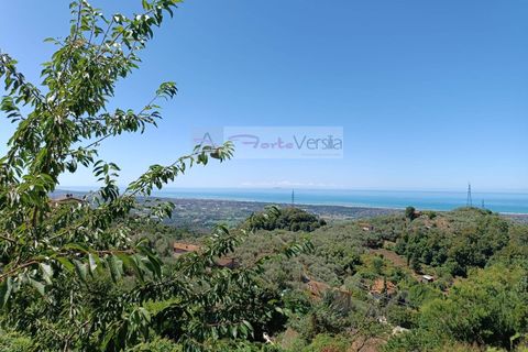 Villa i Pietrasanta, Lucca, Pietrasanta - € 170.000 | Ref: 103 - foto 10