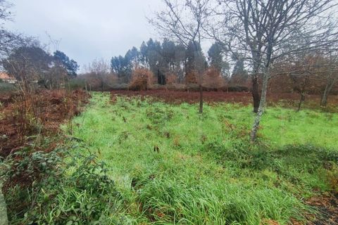Helårsgrund i Valenca, Viana do Castelo, Valenca - € 20.000 | Ref: UNU-F1-08-18 - foto 2