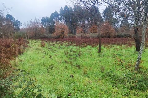 Helårsgrund i Valenca, Viana do Castelo, Valenca - € 20.000 | Ref: UNU-F1-08-18 - foto 4