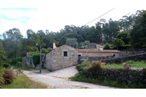 Farm i Esposende, Braga, Esposende - € 1.250.000 | Ref: 7008 - foto 1