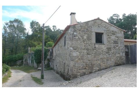 Farm i Esposende, Braga, Esposende - € 1.250.000 | Ref: 7008 - foto 3