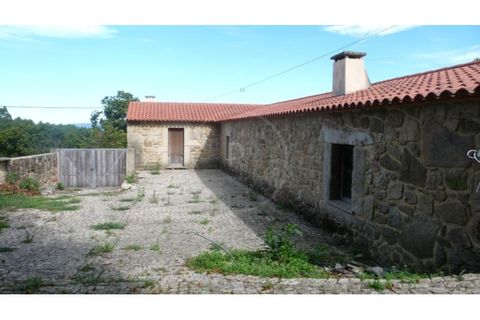 Farm i Esposende, Braga, Esposende - € 1.250.000 | Ref: 7008 - foto 4
