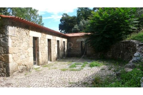Farm i Esposende, Braga, Esposende - € 1.250.000 | Ref: 7008 - foto 6
