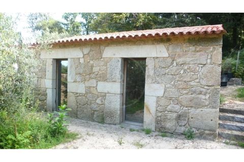 Farm i Esposende, Braga, Esposende - € 1.250.000 | Ref: 7008 - foto 7