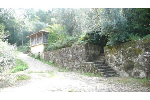 Farm i Esposende, Braga, Esposende - € 1.250.000 | Ref: 7008 - foto 8