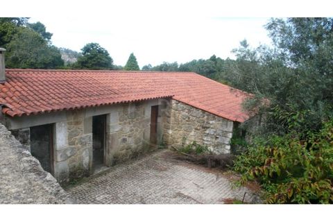 Farm i Esposende, Braga, Esposende - € 1.250.000 | Ref: 7008 - foto 11