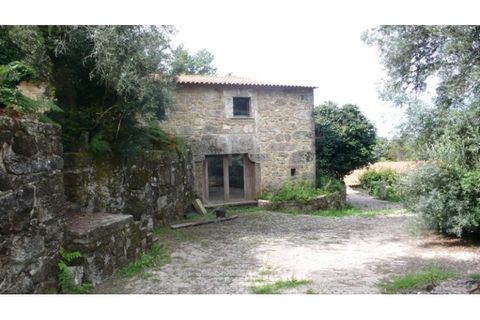 Farm i Esposende, Braga, Esposende - € 1.250.000 | Ref: 7008 - foto 12