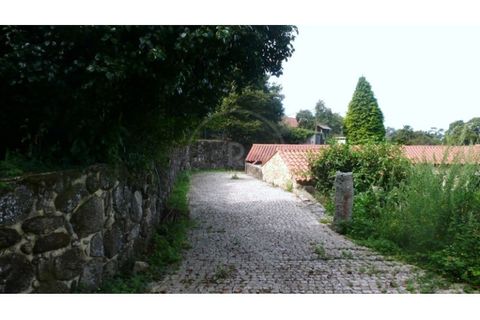 Farm i Esposende, Braga, Esposende - € 1.250.000 | Ref: 7008 - foto 13