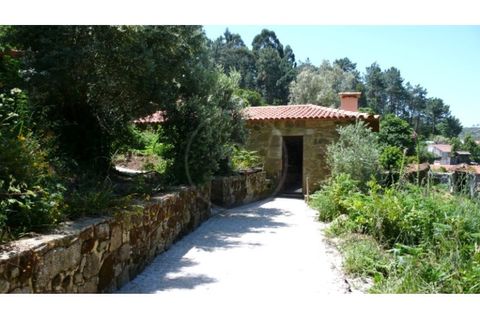 Farm i Esposende, Braga, Esposende - € 1.250.000 | Ref: 7008 - foto 14