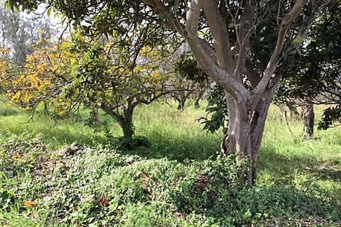 Terra a Catanzaro, Catanzaro, Catanzaro - € 450.000 | Ref: 791/T - foto 3