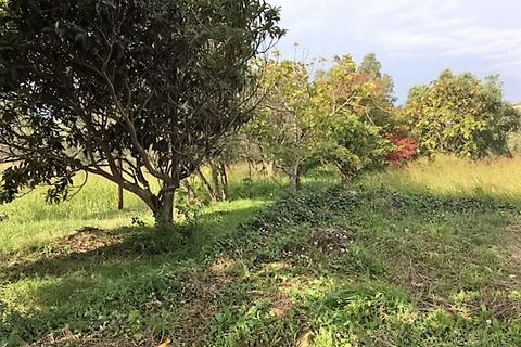 Terra a Catanzaro, Catanzaro, Catanzaro - € 450.000 | Ref: 791/T - foto 4