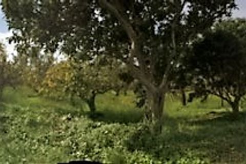 Terra a Catanzaro, Catanzaro, Catanzaro - € 450.000 | Ref: 791/T - foto 8