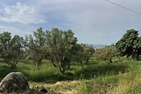 Terra a Catanzaro, Catanzaro, Catanzaro - € 450.000 | Ref: 791/T - foto 9