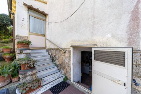 Villa i Monte Argentario, Grosseto, Monte Argentario - € 350.000 | Ref: 134 - foto 18