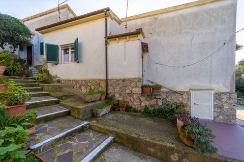 Villa i Monte Argentario, Grosseto, Monte Argentario - € 350.000 | Ref: 134 - foto 21