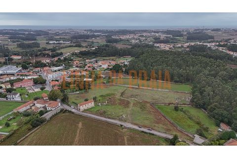Tomt i Vila do Conde, Porto, Vila do Conde - € 1 480 000 | Ref: 5567 - foto 4
