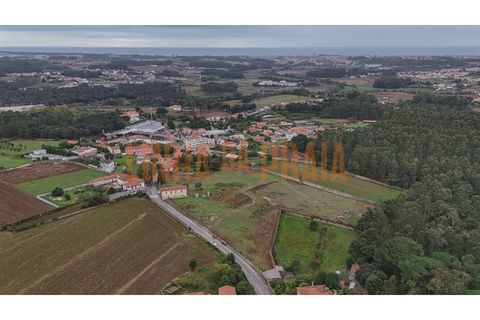 Tomt i Vila do Conde, Porto, Vila do Conde - € 1 480 000 | Ref: 5567 - foto 5